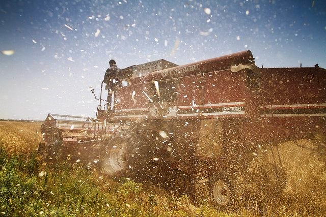 LANSAresearch's tweet photo. Read #LANSAWorkingPaper on a #valuechain perspective on #wheat flour #fortification in #Pakistan https://t.co/43nRyAU8bF @natashaansari @HarisGazdar https://t.co/0MsFtU2vHx