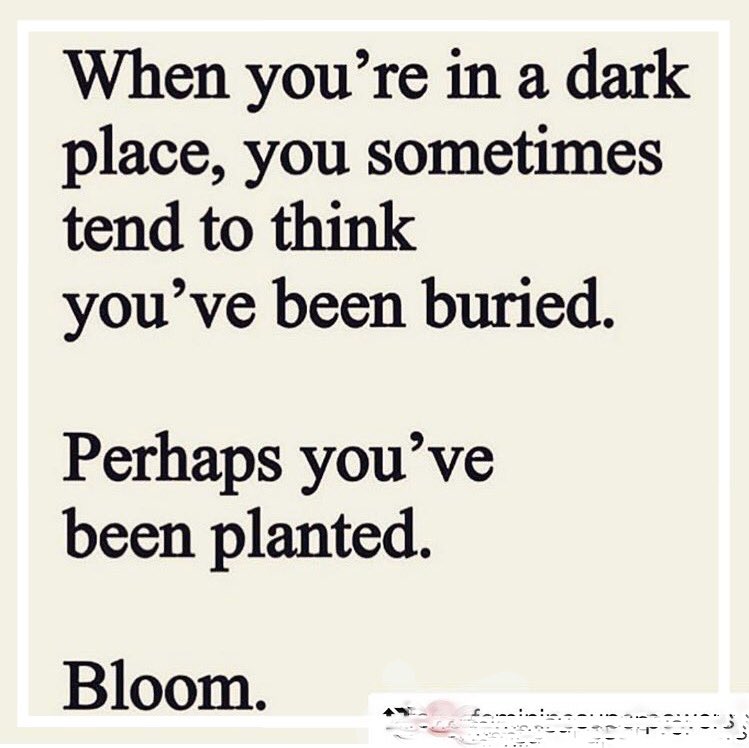 BLOOMINGDESIRE's tweet photo. Its sure been a huge week of reflection. There’s always choices. There’s always room to re-plant and continue to bloom.
#londonflorist #reflecting #improving #makingdecisions #choices #independentwoman #blackbusiness #continuinggrowth #bloom #southnorwood #se25 https://t.co/vezULoDerl