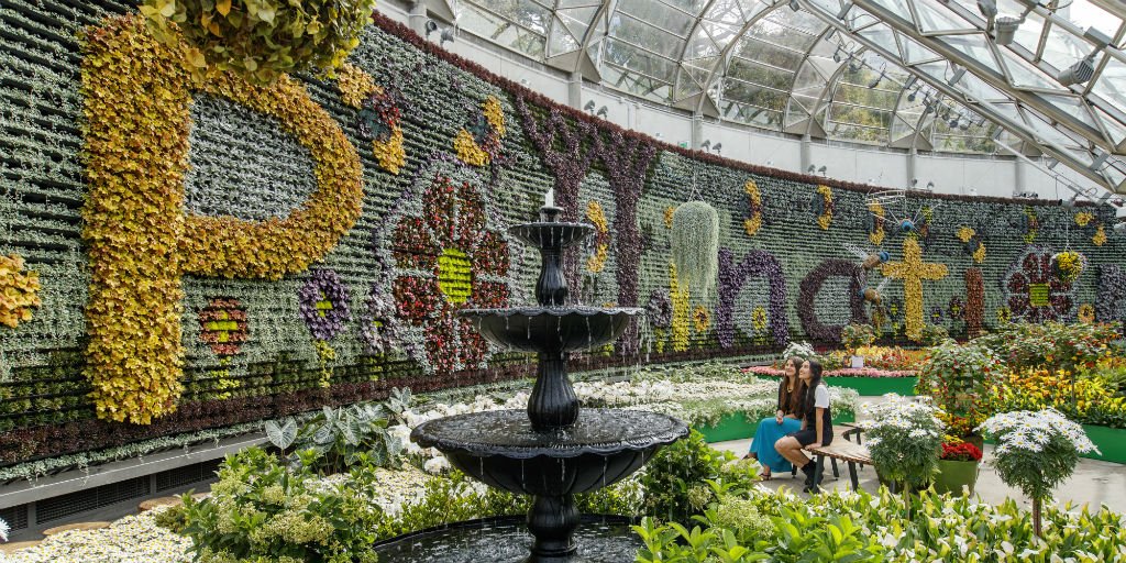 #Didyouknow the green wall in #TheCalyx is the largest of its kind in Aus, at 6m high &amp; 50m wide? Director of #Horticulture <a href="/TexanInOz/">Jimmy Turner</a> will be joining us for Live @ The Calyx Mon 9 April 12.30pm AEST to tell us more; watch via Facebook or Periscope! goo.gl/7sJ3yu