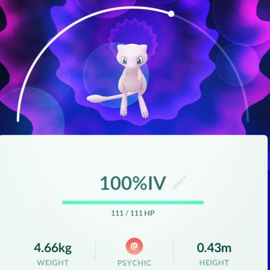 shauns1288's tweet photo. Video Soon! 😱😱😱💖💖💖💯
-
-
- SUBSCRIBE TODAY 👈
-
-
#PokemonGo #Limit3dArmy #Mew #MewEncounter #PerfectMew #OMG https://t.co/Wq65YAuh4J