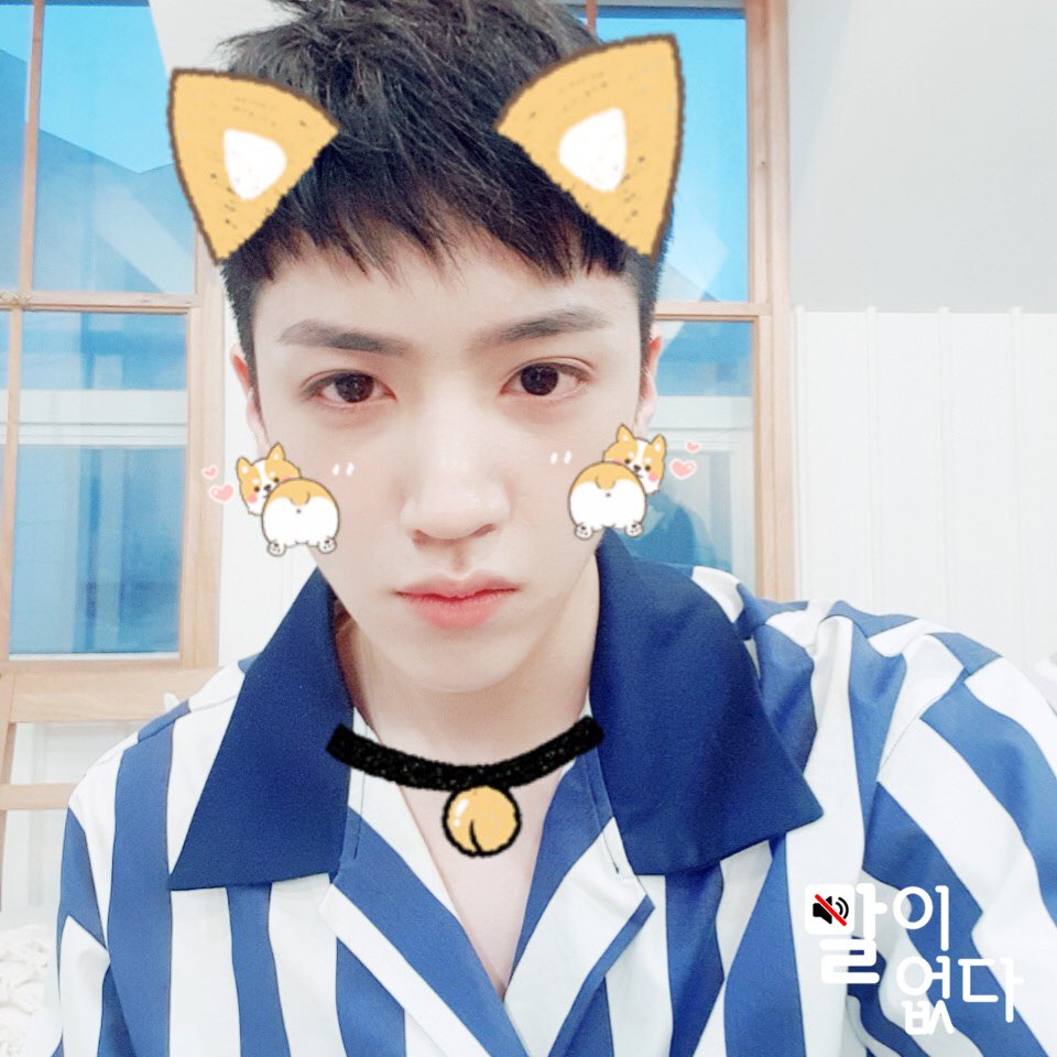 momox_official's tweet photo. [#말이없다🔇] 

(ﾉ◕ヮ◕)ﾉ*:･ﾟ✧
✨⭐️💫💥🌟✨
*:･ﾟ우석이 셀카 왔어요 *:･ﾟ

#우석 #WOOSEOK #PENTAGON
#POSITIVE @CUBE_PTG https://t.co/UPAhsMFdDP
