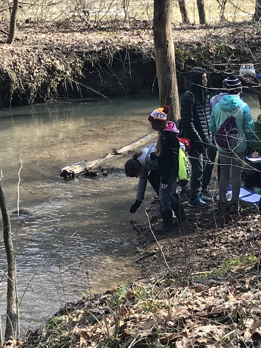 SFXbresnahan's tweet photo. Day two done!  Camp Nuhop is so much fun!  Giant swings, nature hikes, stream studies, high rooes courses.  Kids are loving it! https://t.co/QLldL90onR