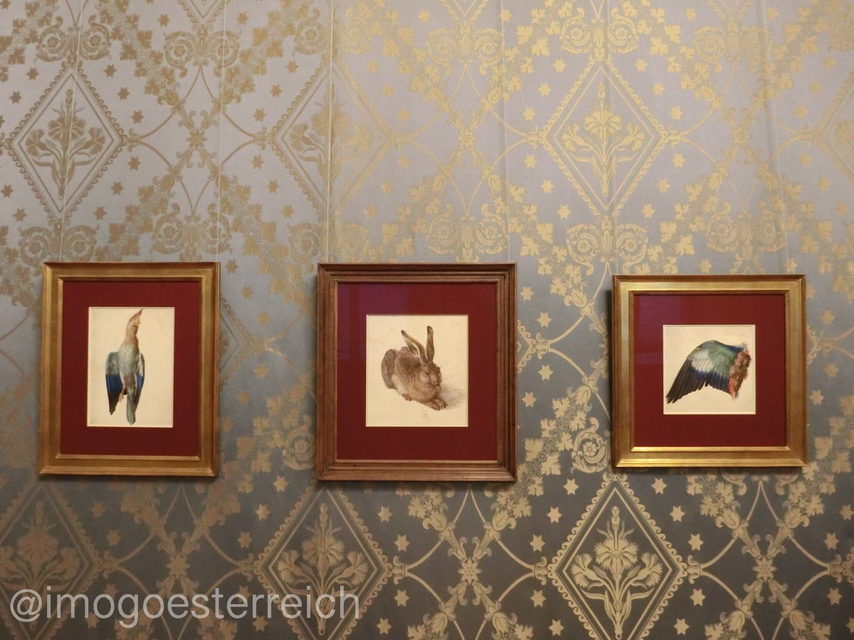 オーストリア情景 Todestag Von Albrecht Durer 4月6日はルネサンス期のドイツで活躍した画家アルブレヒト デューラーの命日 ウィーンにも数々の作品があり その中でも特に有名なのがアルベルティーナにある 野うさぎ です ピンクや緑のオブジェ