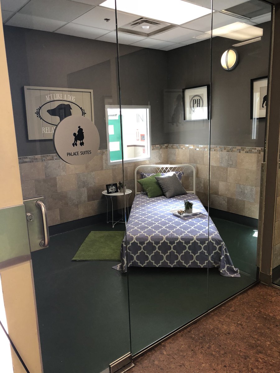 dog hotel near me