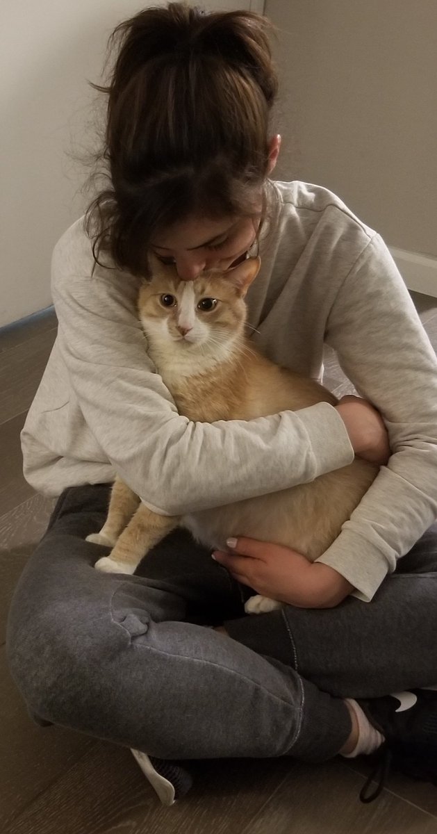 OphirGottlieb's tweet photo. @DEANSTA1873 How about me and my fiance @alicia__newman with our boy cat, aka #StockCat https://t.co/l1WAdqdD7n