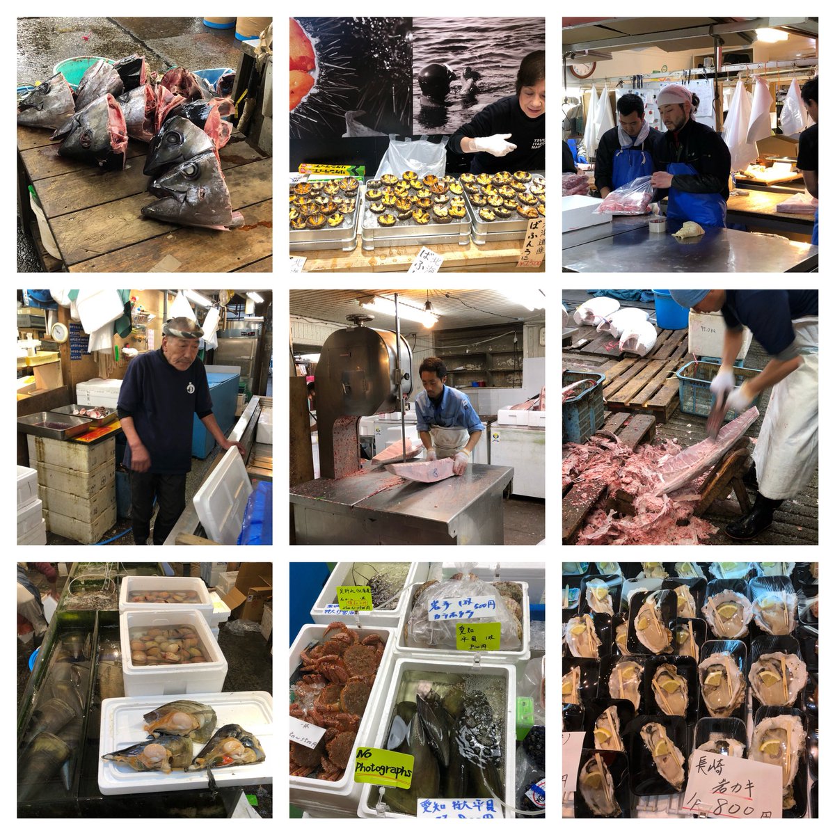 JackGrifo's tweet photo. #tokyofishmarket #tsukijifishmarket esperienza incredibile!!! #sushi #fish #japan #giappone #travel #daiwasushi #enjoy #amazing #we #happy #goodlife https://t.co/OVTw5E44e1