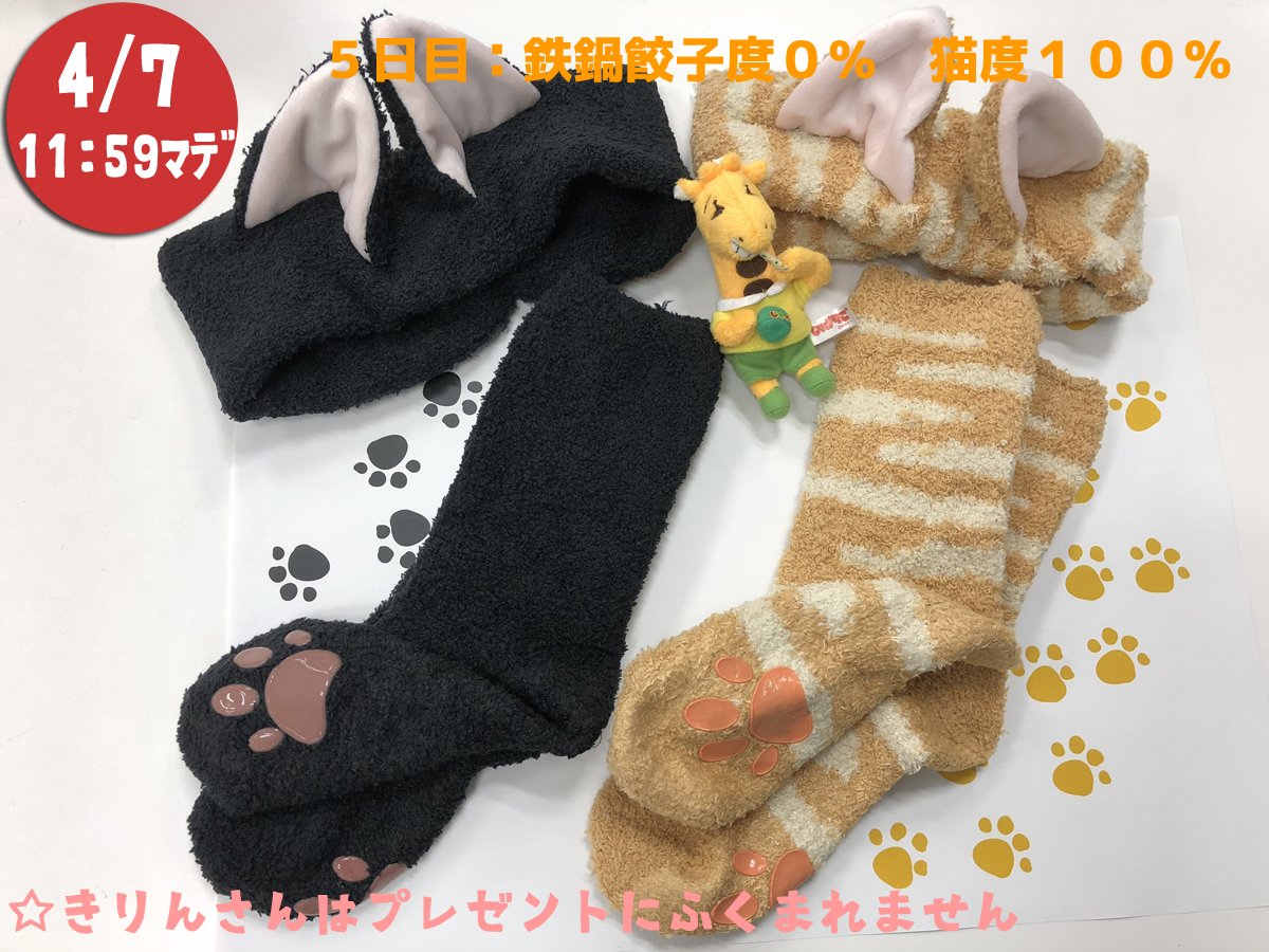 今週から全国のセブン-イレブン限定「じゃがりこ 鉄鍋餃子味」の発売を記念したキャンペーンは今日が最終日！

応募：この投稿をRT
賞品：総RT数3800（ミャア～）達成で、猫耳😺もふもふヘアターバン＆猫足😺もふもふルームソックスのセットを5名様にプレゼント🎁
※色はお任せください