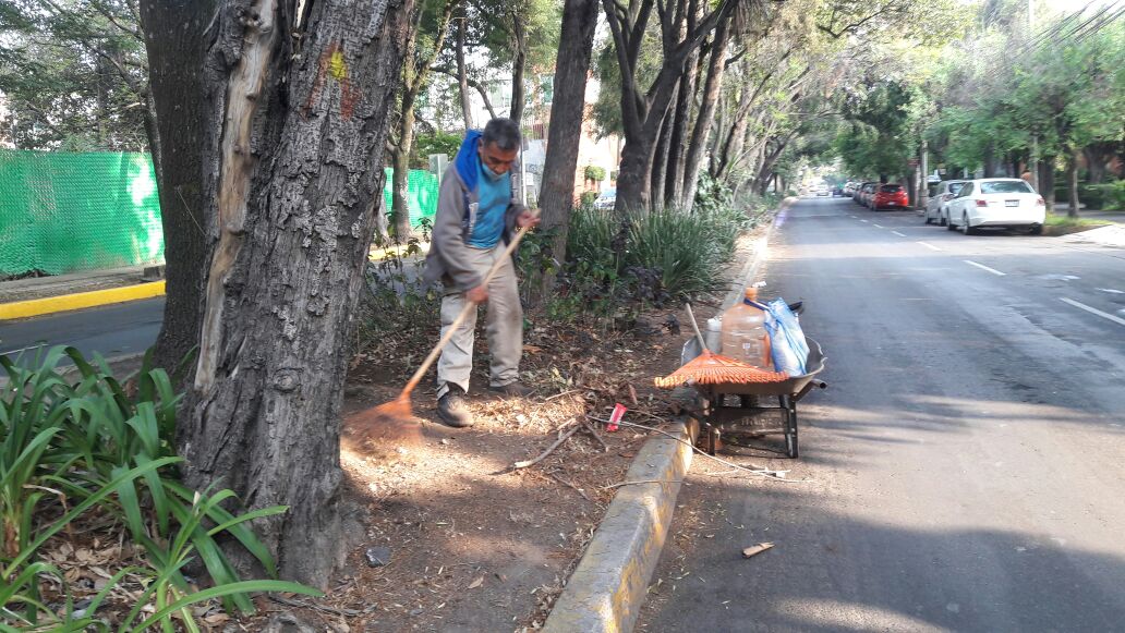dgsudao's tweet photo. Mantenimiento de areas verdes camellón de Minerva col florida @MaAntonietaHT @jesuslandero @leonel_luna https://t.co/QTxp0y2IIN