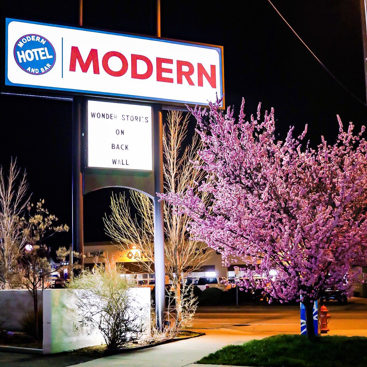 Nighttime inspiration while staying at @modernhotel 
#thisisboise #photography 
I wanted to see if I could get this blooming tree to pop! Yay pink!