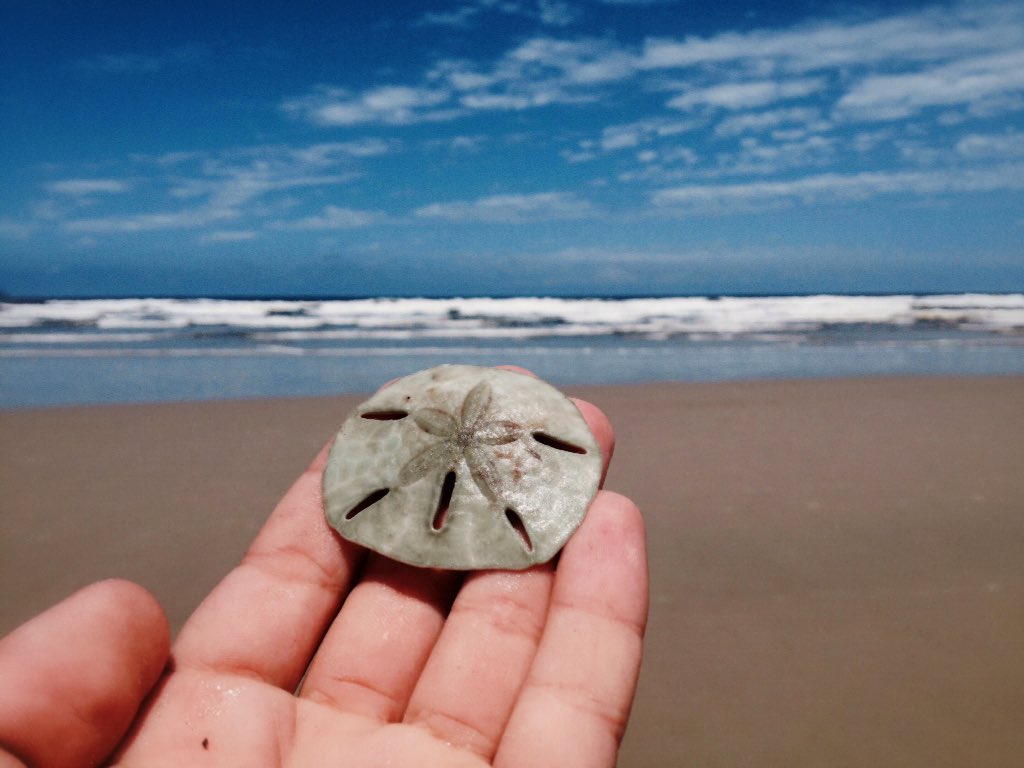 Descritivas's tweet photo. À paz mora aqui ✨🐚 https://t.co/KY7P6x998r