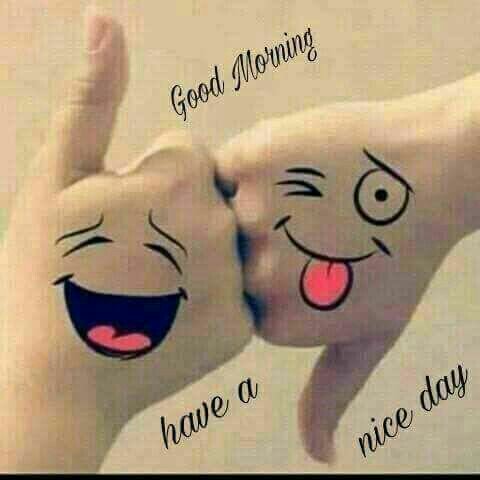 natalycriz's tweet photo. @robtropper @r95731 @DLees28 @DeFaukatrua @Tinkerb67353068 @VelvetSkye @ThShaher @shahmukesh012 @NUAZ1LGlhfit3Gp @HumbleIndian @politicalnaveen @MariaSherow @rosmarie1291 @KaeDalious @chuy_beto @mariezr04 @Sylpete @Edward733 @Edie0326 @IsabelWinchest1 @AintitMarvelous @YNHallak @NikahNovella @SSscoop475 @Hiqutipie @dilruba_lees @MoineChristell2 @anie1215 @RaoKrrao @Marisol2224 @julie2117 @Kendall02535758 @EliLeonarda @3Almonzer @ERNESTZorro @sminaev2015 @deargoya_goya @Sunleil @aLAURA2019 @Stallion_Team @Lorrainefmdg @louzival2011 @anatormont @BrettCateley @thylu11 @jonreaksmey @All Greetings.. glad to know you in Twitter @robtropper #HappyDay
#HappyFriday thanks for the
#Follow
#FollowFriday
#FollowBestFriends
#followingYouBack https://t.co/wGrsiUVcsG