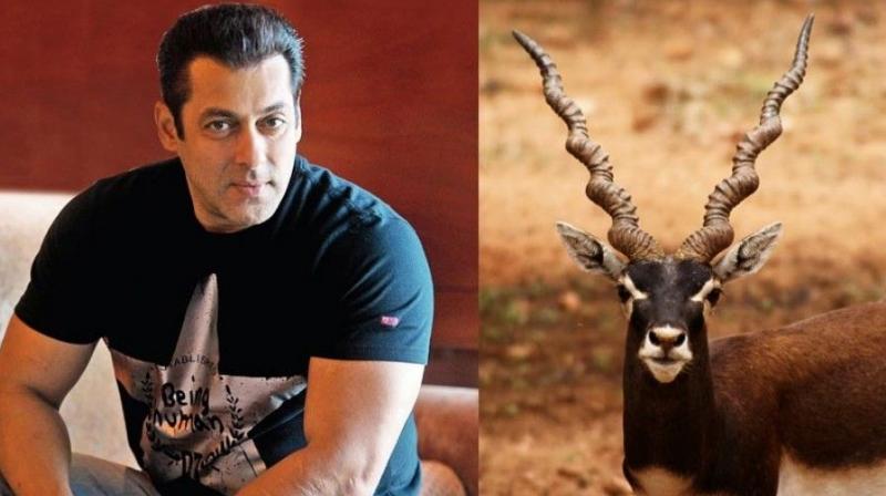markt_update's tweet photo. Salman Khan Sentences 5 Years Jail in Blackbuck Case | Market Update
#salamankhan #BlackBuckPoachingCase #BlackBuckCase #JodhpurCourt #WildlifeProtectionAct #BlackBuck #BlackBuckPaochingCase #AsaramBapu #VIPbarrack #JodhpurCentralPrison #markt_update
https://t.co/owmGzGzsHz https://t.co/TAmRF2RebK