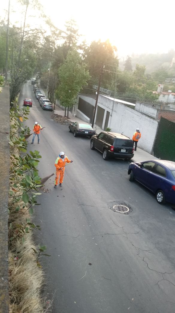 dgsudao's tweet photo. barrido manual 
Calzada de las carretas colonia Colinas del sur @MaAntonietaHT @jesuslandero @leonel_luna https://t.co/g5ptQQGACY