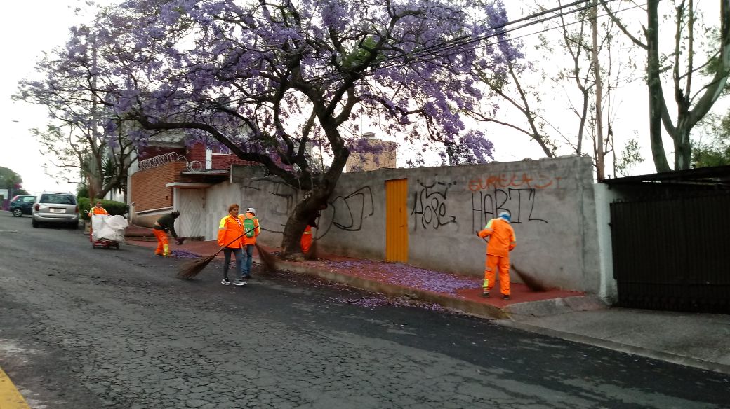 dgsudao's tweet photo. barrido manual calzada de los corceles colonia colinas del sur @MaAntonietaHT @jesuslandero @leonel_luna https://t.co/xPx5vlJarV