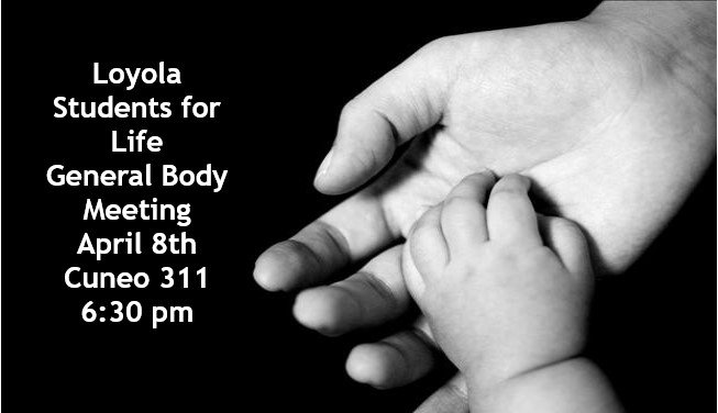 LSFLChicago's tweet photo. Join LSFL for our next general body meeting. We will be discussing Pro-life legislation and urgent events. Hope to see you there! https://t.co/lUd7qXf2G2