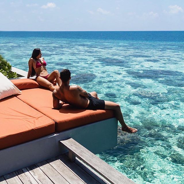 The Indulgence tweet media