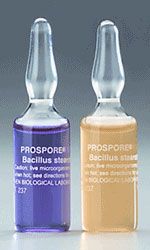 ExpPharma's tweet photo. #PharmaAlly #Caramelisation or darkening in the colour of #autoclaved #liquid #BI #ampoules https://t.co/kaRvlCzsxD  #pharma #pharmanews #drugs #usfda #pharmaindia #pharmaindustry #expresspharma #HealthyLife #medicaldevices #clinicaltrial https://t.co/Jq8yVMzp1J