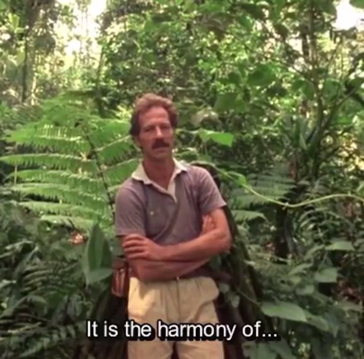 AyeshaASiddiqi's tweet photo. how Werner Herzog described the jungle is how I would describe America https://t.co/JIW14ruywn