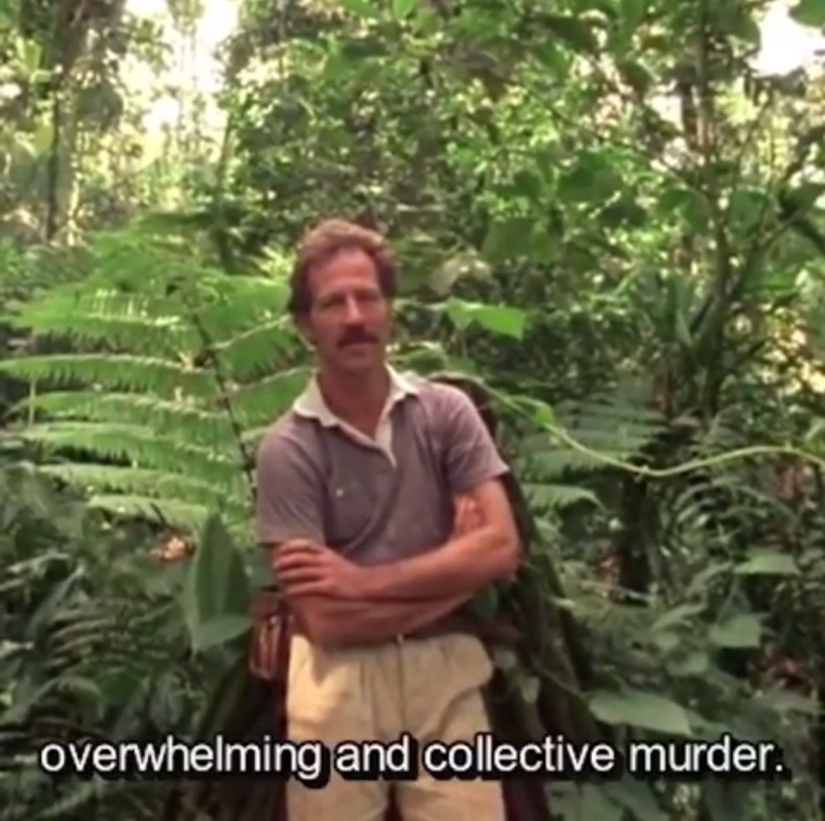 AyeshaASiddiqi's tweet photo. how Werner Herzog described the jungle is how I would describe America https://t.co/JIW14ruywn