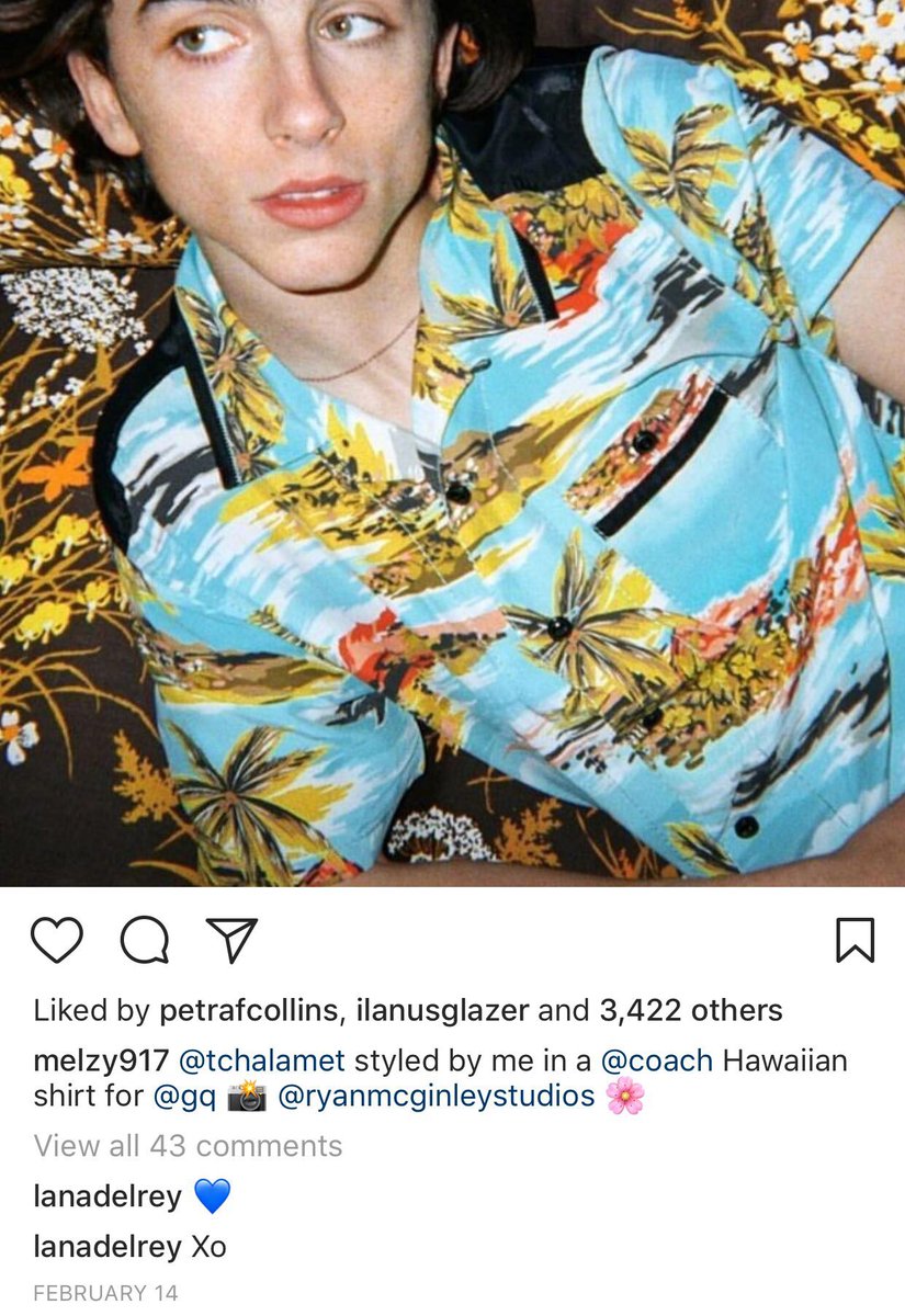 timotheechalamt's tweet photo. Lana Del Rey’s comment.. HER MIND https://t.co/TCc68hRFnB