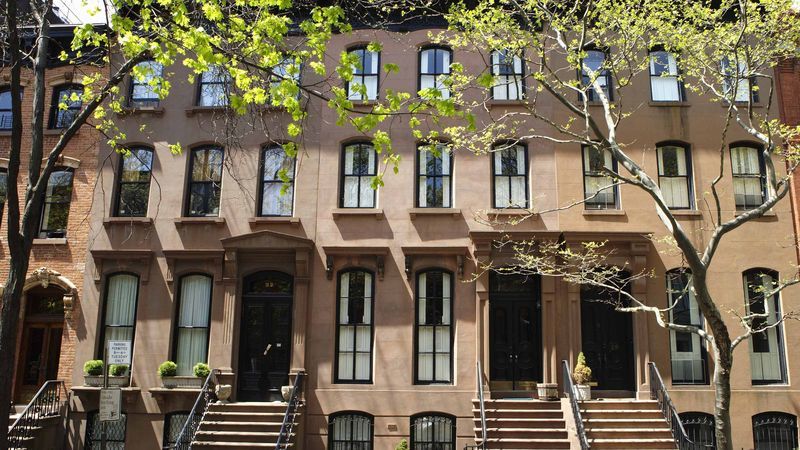 Trees Planted In Poor Neighborhood Mature Just In Time For Gentrification trib.al/qgr5EtU