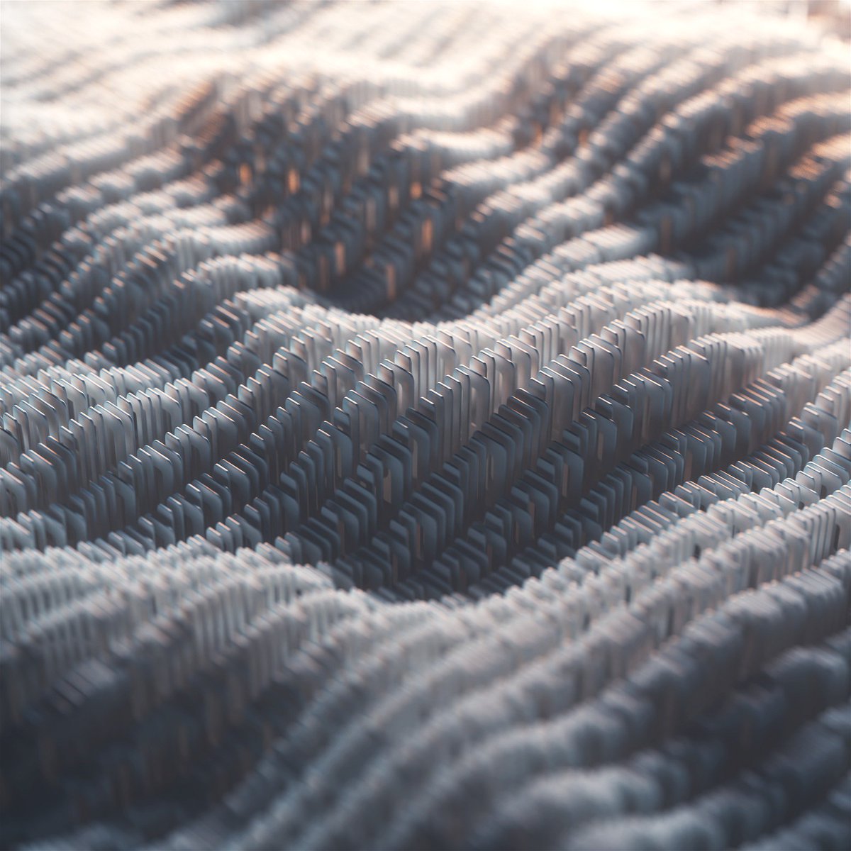 Prouwl_Studio's tweet photo. Daily Render 329
#C4D #Octane #Daily https://t.co/MMQNnHeUc8