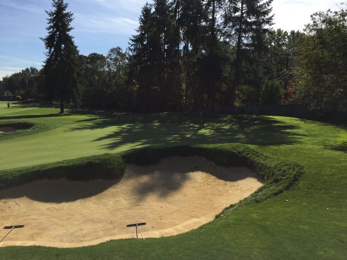 tacomaturf's tweet photo. 14 green before tree removal and now today after tree removal with new buffer plantings #nobrainer https://t.co/I0KryLpq6p