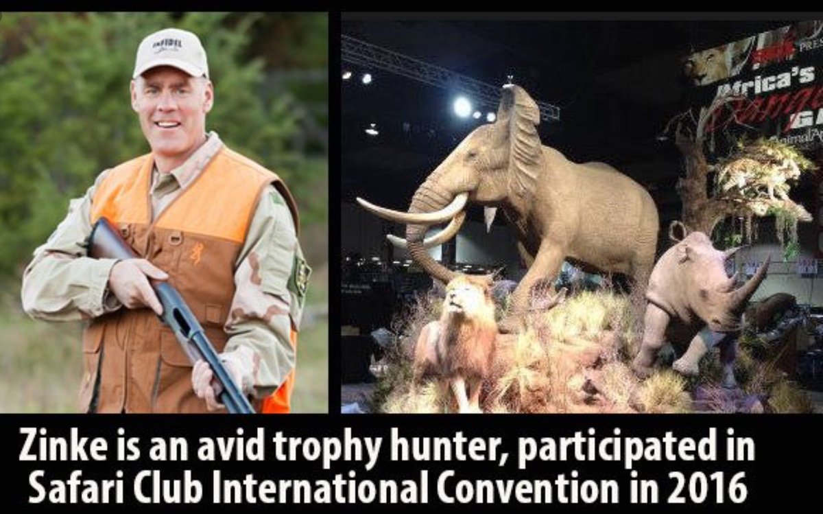 lindaleblanc111's tweet image. #zinkeshame is no friend to Animals...and the fact these beautiful animals he destroys R so much smarter then him #WeThePeople #VotingHumane