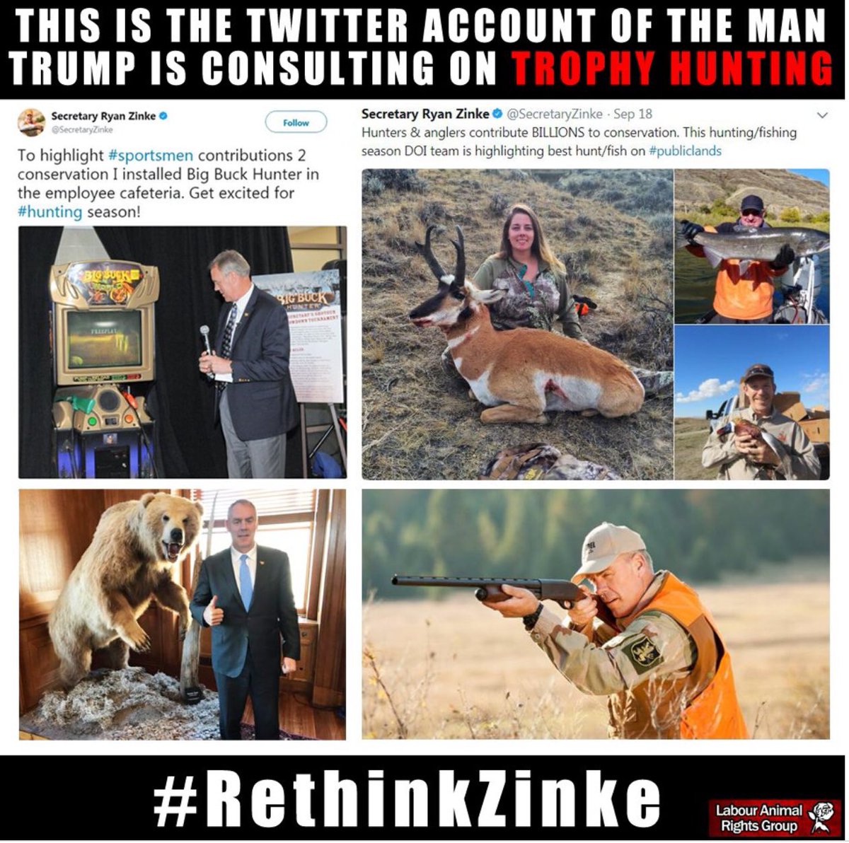 lindaleblanc111's tweet image. #zinkeshame is no friend to Animals...and the fact these beautiful animals he destroys R so much smarter then him #WeThePeople #VotingHumane