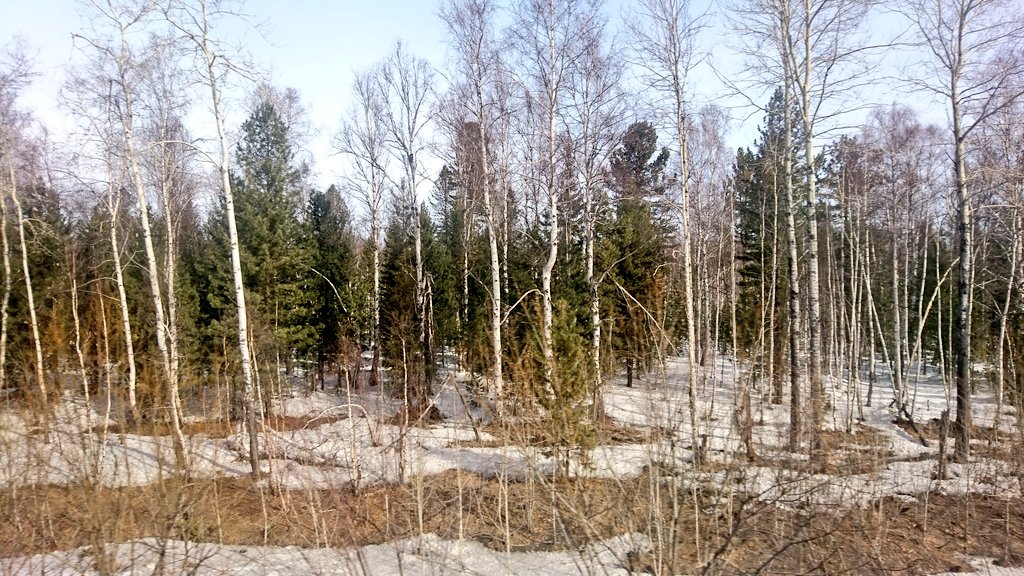 Trains2Aberdeen's tweet photo. After a freezing night, the train finally reach the shore of #LakeBaikal (о́зеро Байка́л), the #DeepestLake in the world https://t.co/2CQ1zmzcfo