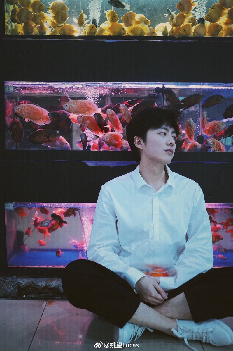 lllovely_bot's tweet photo. 우리왕이 웨이보업 ~ 

사진모음🐠 https://t.co/mu4HI6ti60