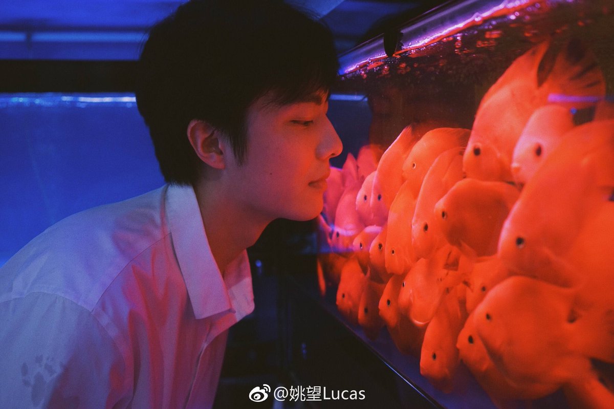 lllovely_bot's tweet photo. 우리왕이 웨이보업 ~ 

사진모음🐠 https://t.co/mu4HI6ti60