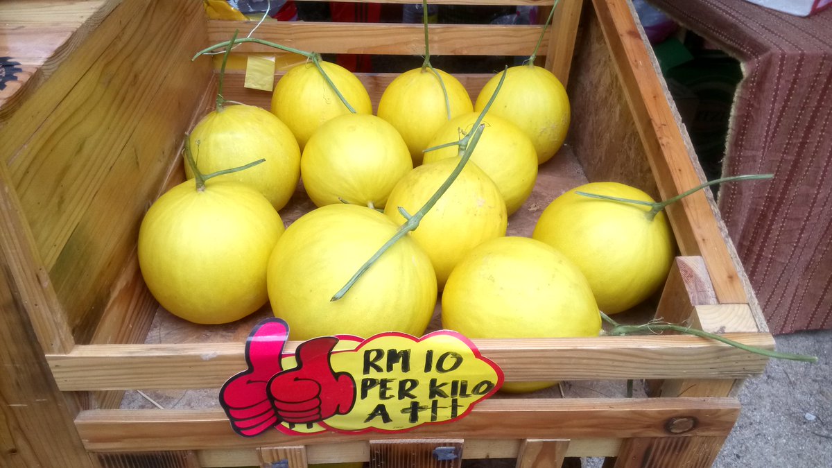 myDOA_HQ's tweet photo. Sape nk Melon Manis termanis di Pasaran..... Mari dtg kluster segar di #RoadtoMAHAKemaman
@shaberyc
@tajuddinabdulrahman
@ismailbakar60
@Jharizan
@MY1DOA
@moaMalaysia
#ourfoodourfuture
#PertanianHEBAT
#kemaman
#kertih https://t.co/0cLepiDikZ