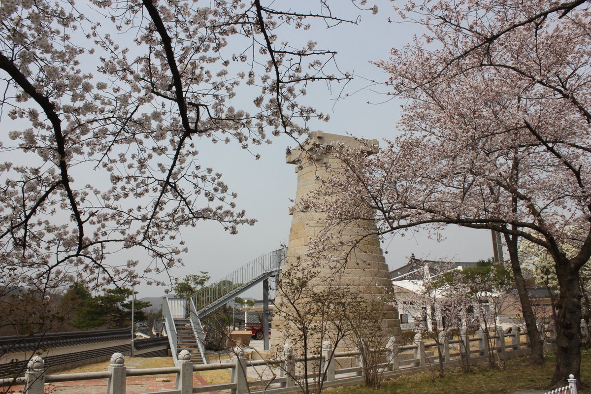 [#국립경주박물관소식]
오늘 경주에서 여러분은 어떤 기억을 더하시겠습니까?
국립경주박물관 SNS기자단과 함께 꽃길따라 블링 블링^^
관련 기사와 더욱 멋진 사진을 원하신다면 클릭! 클릭! 
blog.naver.com/gymuseum/22124…