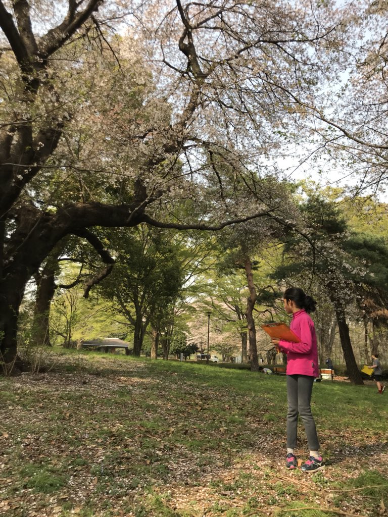 asij2Y's tweet photo. Enjoying Spring！ https://t.co/b60I7IsvQg