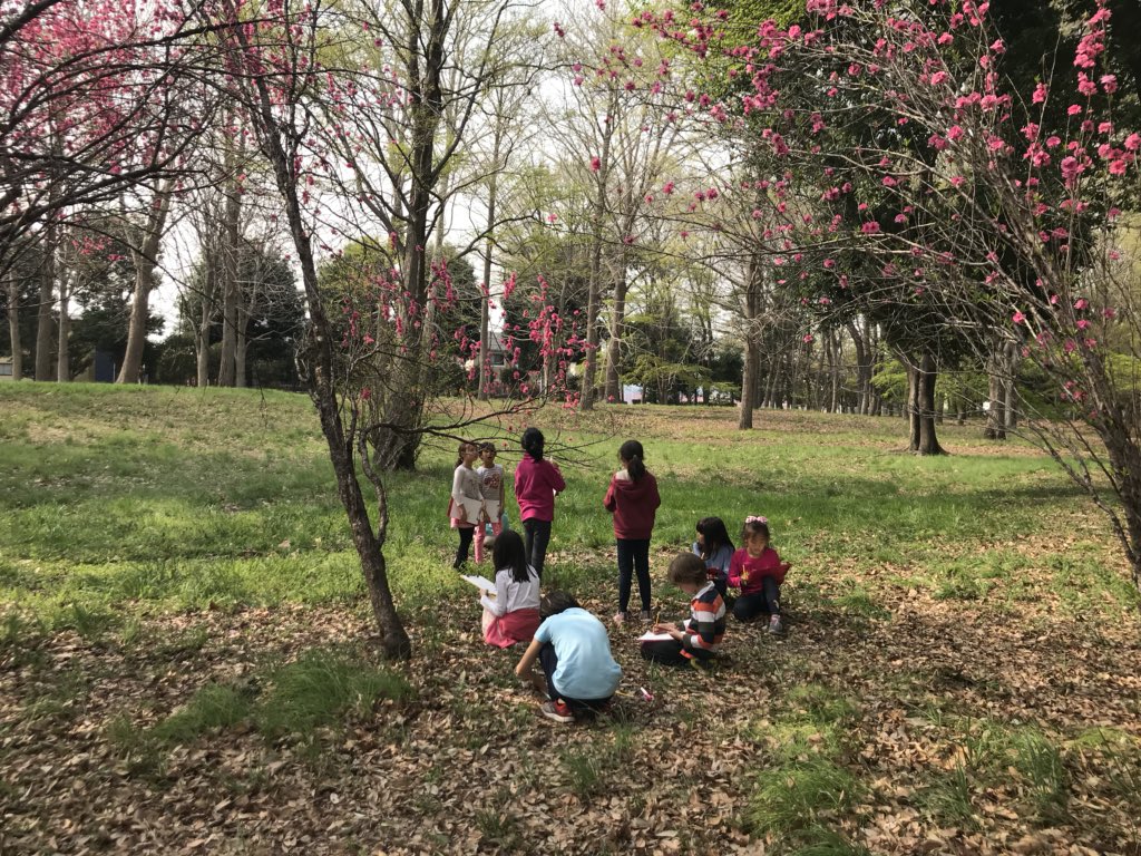 asij2Y's tweet photo. Enjoying Spring！ https://t.co/b60I7IsvQg