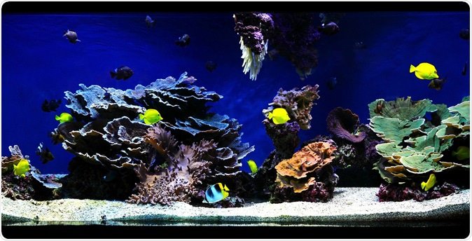 aquarium latest news breaking