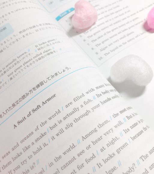 Rapunzel_study's tweet photo. ( 🕊 )  

･

お久しぶりです⭐

今から学校の課題をします🎀

･ https://t.co/vRKak700ax