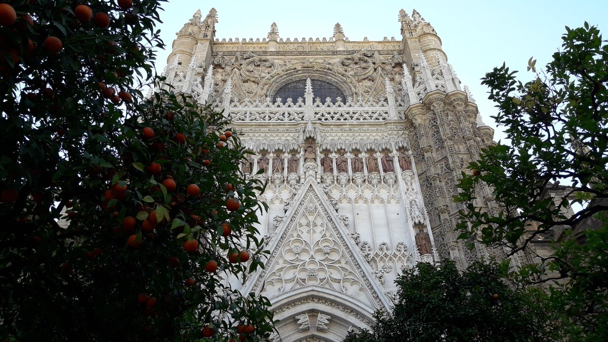 unisevilla's tweet photo. La Giralda de Sevilla era roja 😮😮😮 https://t.co/BUwF14nVHh #sevillahoy 

El catedrático Jaime Navarro es uno de los coordinadores de los trabajos de restauración https://t.co/rGb1okWtnB