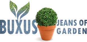buxus_garden's tweet image. BUXUS || @visitkeukenhof 
In the spotlight in werelds grootste lentetuin De Keukenhof in het groen programma Robs Grote Tuinverbouwing met Rob Verlinden.

buxusjeansofgarden.com/robs-grote-tui…

#buxus #boxwood #buchsbaum #buks #jeansofgarden #robsgrotetuinverbouwing #robverlinden #keukenhof