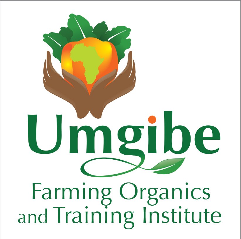 Stop Hunger on Twitter: "Nonhlanhla Joye @UmgibeCreator allows ...