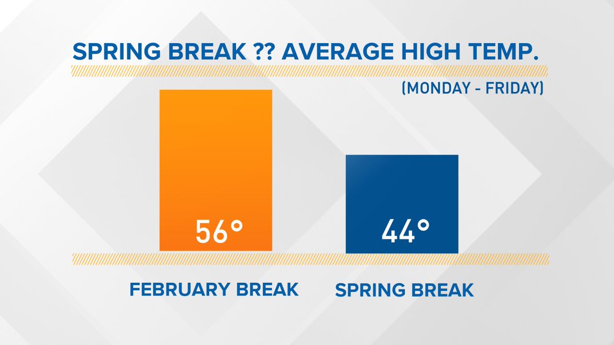 Patrick Hammer tweet media