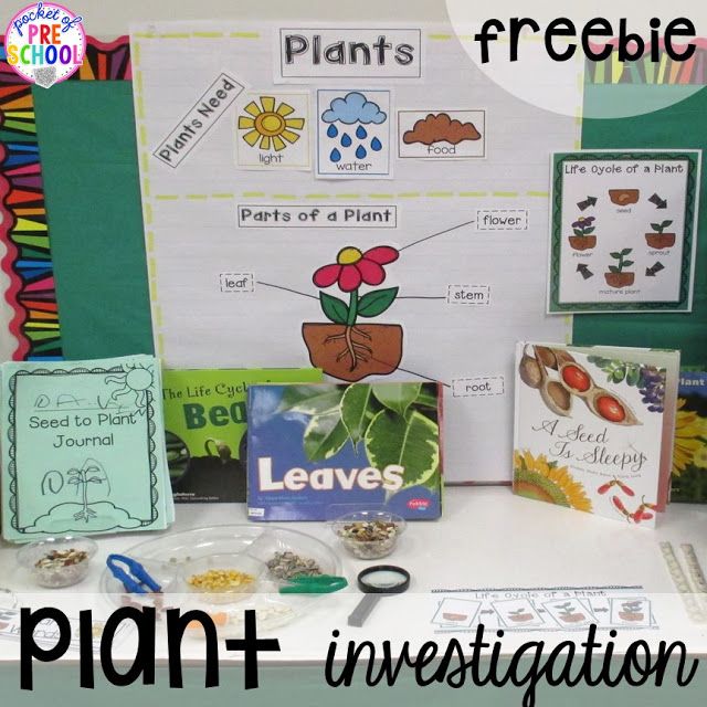 thisreadingmama's tweet photo. SPRING ACTIVITIES AND CENTERS: Love these great ideas to bring literacy and science into centers. https://t.co/qqFsCn1VIC #springcenters https://t.co/sJauqj688M