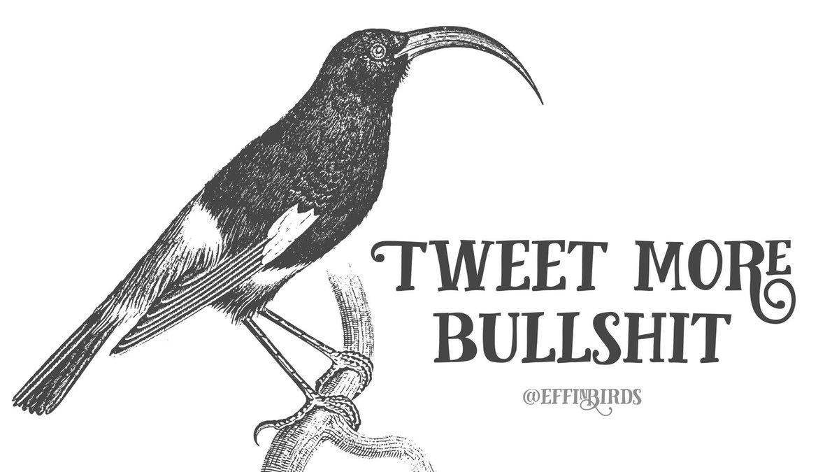EffinBirds's tweet photo. https://t.co/ba756CrwgK