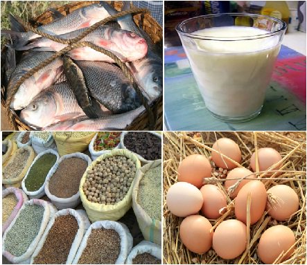 LANSAresearch's tweet photo. Read #LANSAWorkingPaper an analysis of #protein consumption in #India through #plant and #animal sources https://t.co/7vSSSKp0Ez @priyarampal https://t.co/jexFx6KNud