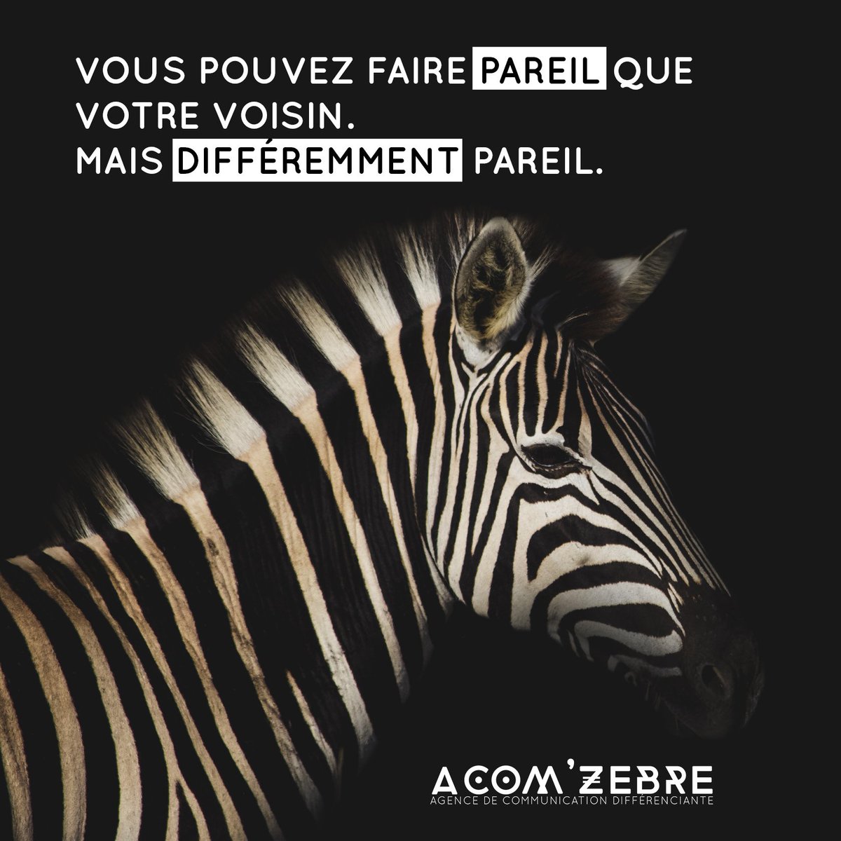 Vous avez tous un petit truc qui vous rend spécial, n'en doutez pas.  acomzebre.com 🦓✌️
#AComZebre
#AgenceDeCommunication 
#Communication