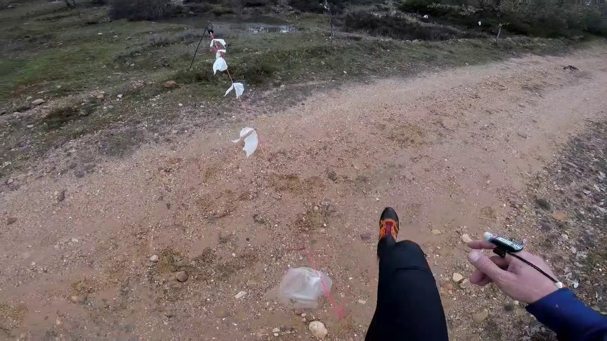 fedo_org's tweet image. Dos nuevos vídeos del @CEOLaRobla por Ricardo Martín

📹 RELEVOS CLÁSICOS:
youtu.be/E-pPBVFuK9Y
📹 DISTANCIA MEDIA:
 youtu.be/Sc512rjXAZY

#CEO2018 #LEOPie2018 #orientación #orienteering