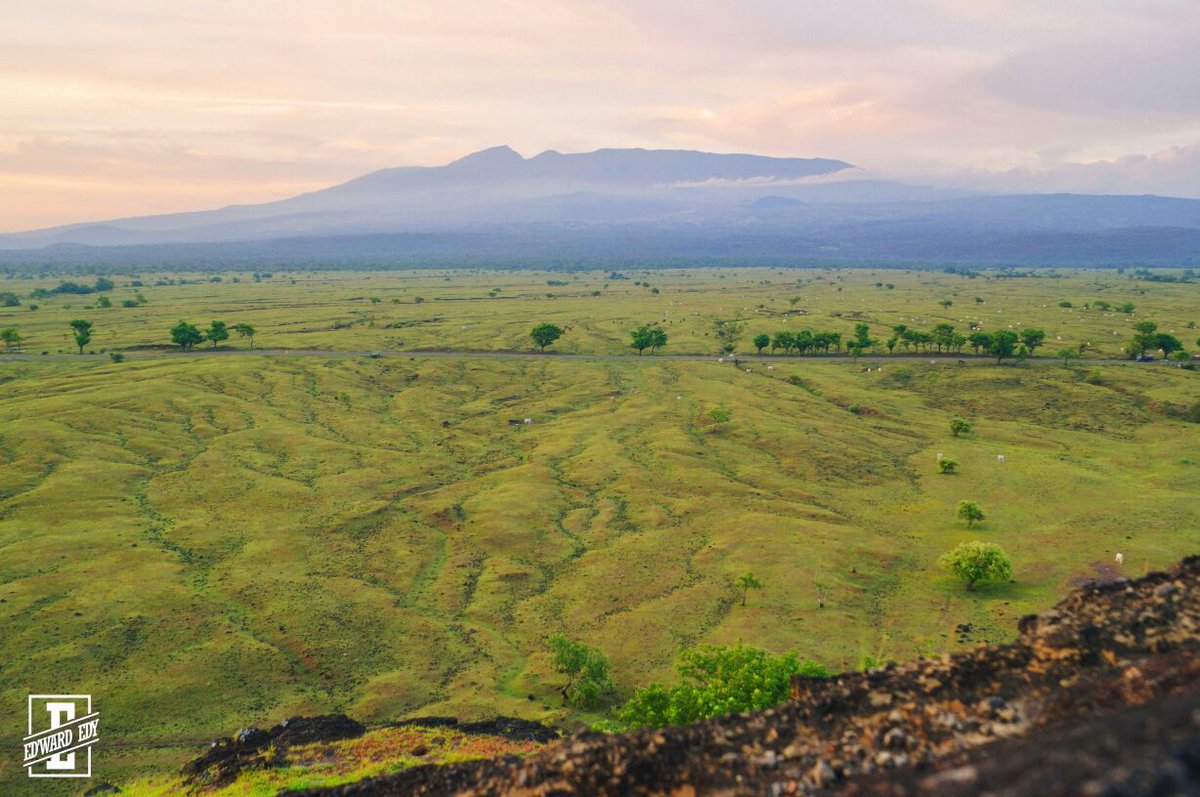 yasin_syarief1's tweet photo. WooW Wonderful and stunning views.. ok.
#AyoKeFestivalTambora
#VisitDompu https://t.co/FgeBZsTwAT