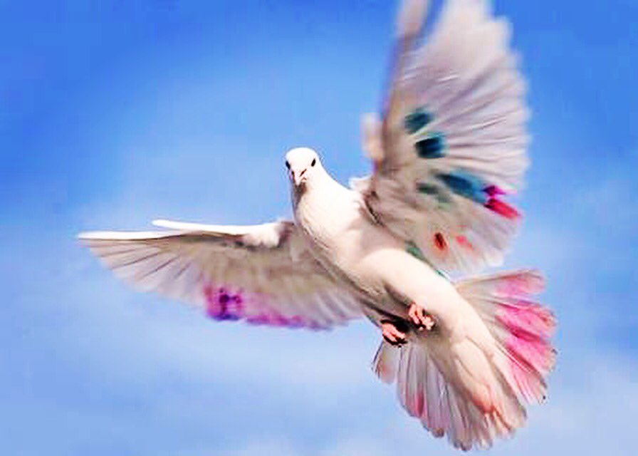 Gelin bugün güzel bir iş eyleyelim,
Bir kalbi kırığı gülümsetelim,
Bir gözyaşı silelim,
Bir boynu bükük çocuk sevelim,
Bir hüzünlü yüreğe eşlik edelim,
Bir kuşa selam verelim,
Bir çiçeğe el edelim,
Sevelim,
Gülümseyelim,
Şükredelim.
#AdemÖzbay
Hayırlı Cumalar