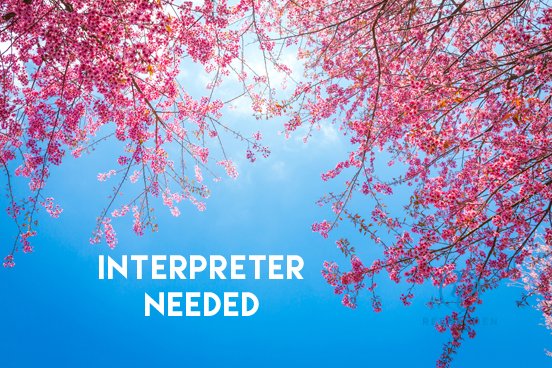ReeracoenID's tweet photo. Interpreter &amp; Translator (Japanese Speaker) Needed!

Interpreter &amp; Translator (JP Speaker)(Jakarta)[35422]
URL: https://t.co/nwMmNCtDHN
E-mail: chenty@reeracoen.co.id

Salary: IDR 6.000.000 - IDR 9.500.000 https://t.co/cpbeEYF6wE